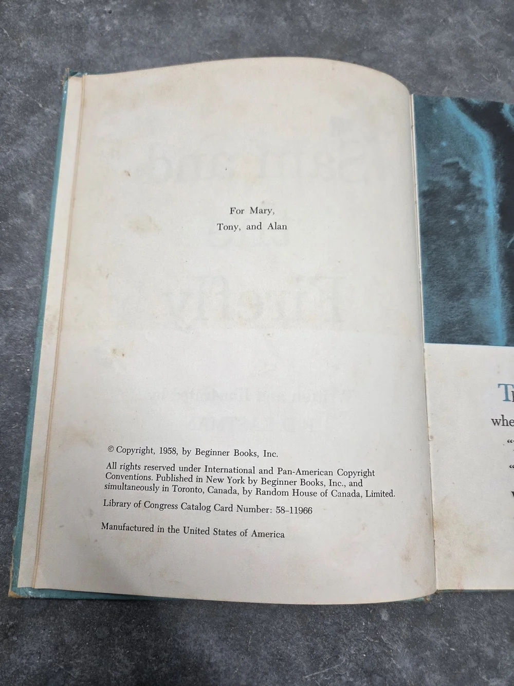 Sam and the Firefly Vintage Children's Book - Teal, Yellow, Red